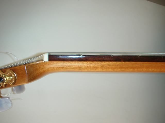 DSCN0778.JPG