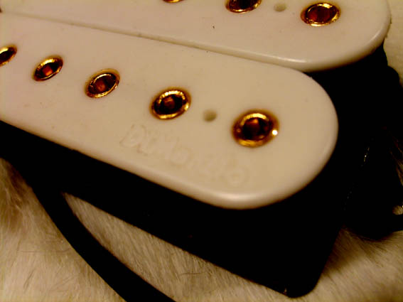 S5009327.JPG