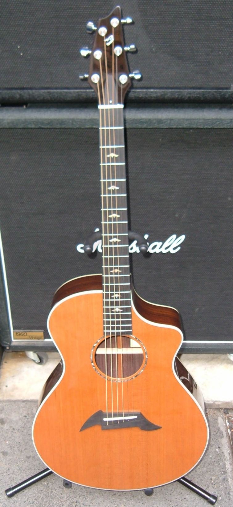 Breedlove1.jpg