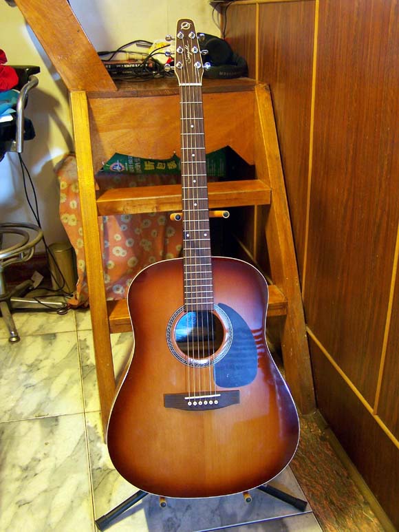 A Guitar