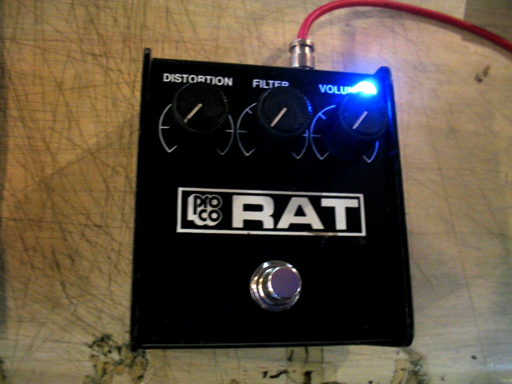 rat.gaibu.jpg