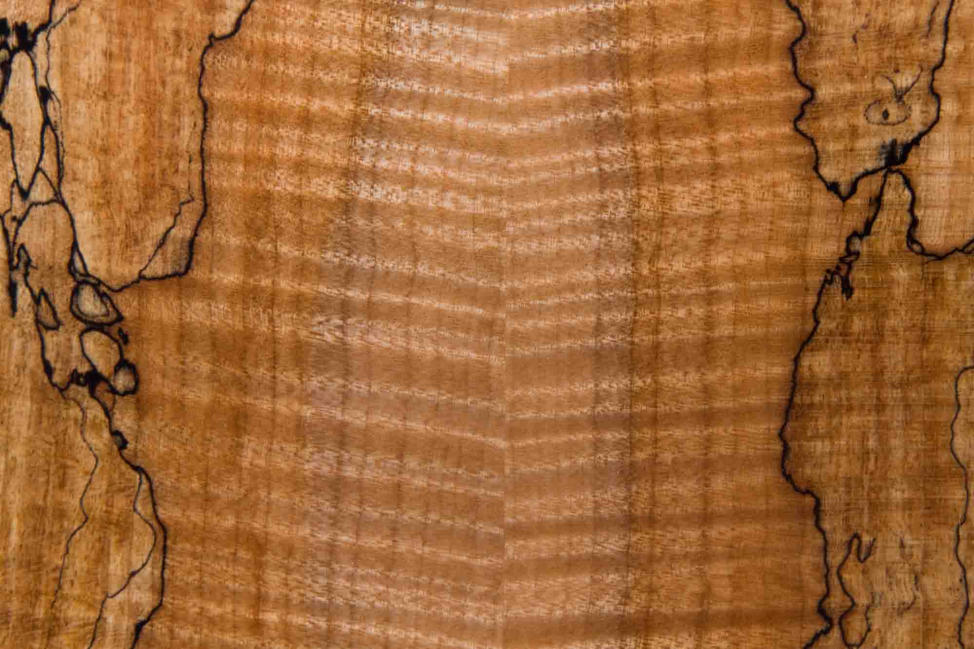 8691-061808_13.jpg