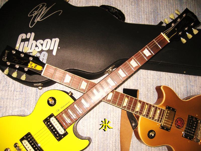 Goldtop.jpg