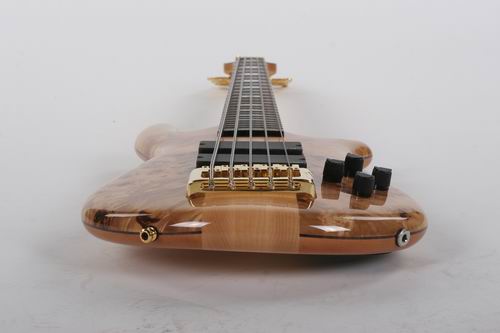 Euro5LX Exotic SE Birdseye Popular-T7.JPG