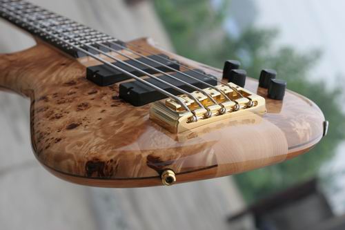 Euro5LX Exotic SE Birdseye Popular-T2.JPG