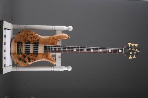 Euro5LX_poplar_burl-Z.JPG