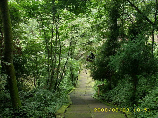 DSCI0113.JPG