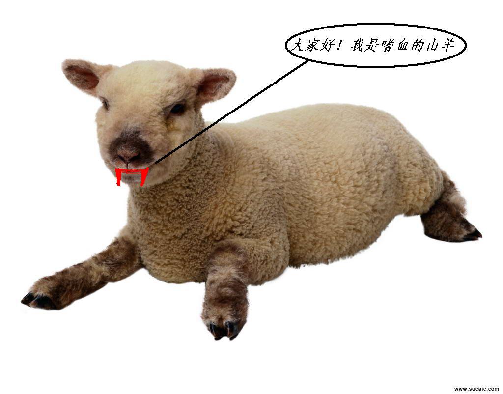 1.JPG