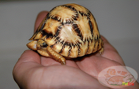 20080916_6598bebc78639ef80ee19Qi1yFoyukvE.gif