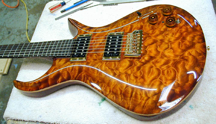 Driskill Tiger Eye.jpg
