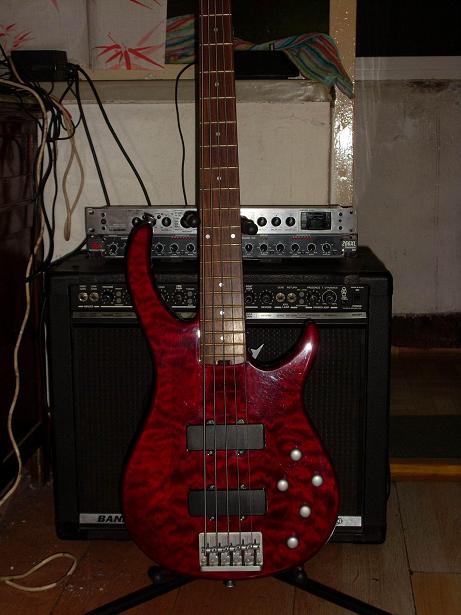 SL381658.JPG