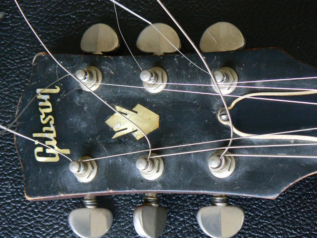 P1000273.jpg