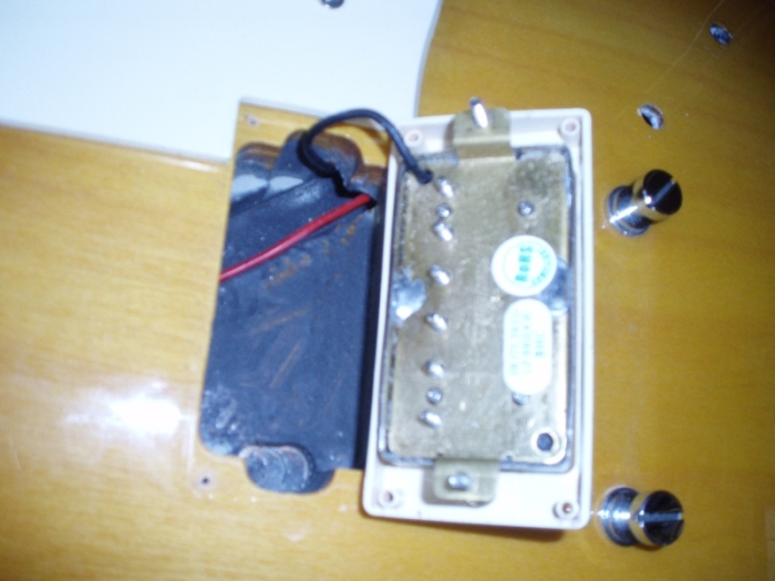 PB020960.JPG