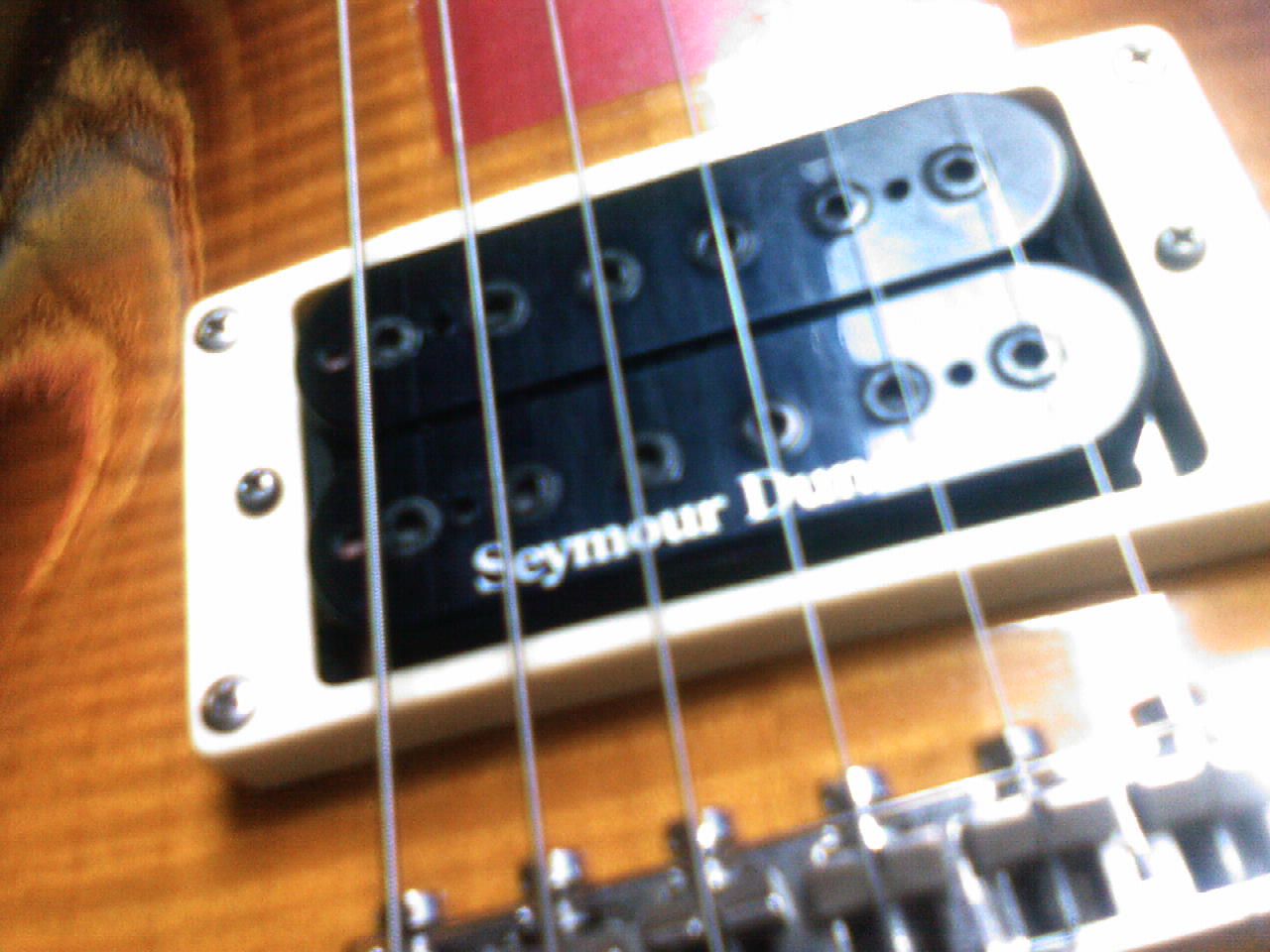 20081109143350.jpg