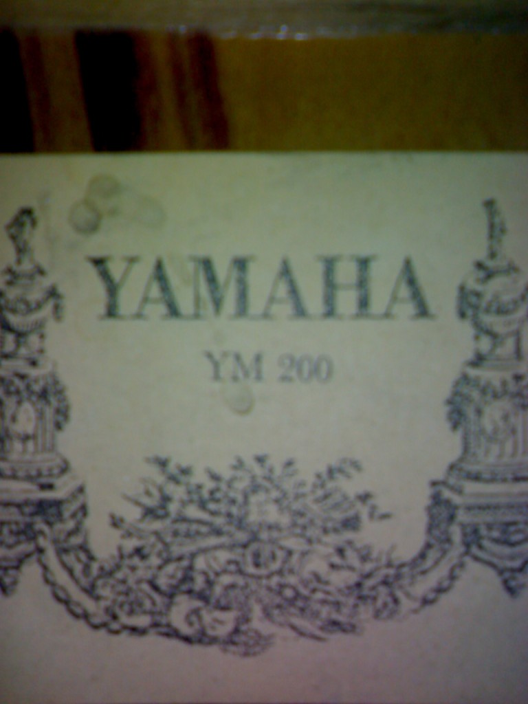 20081206207.jpg