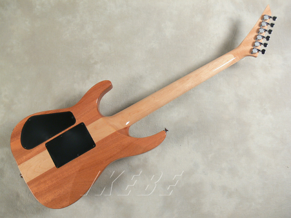 asl-tn01-nat-07.jpg