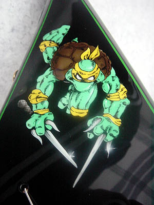 turtle.jpg