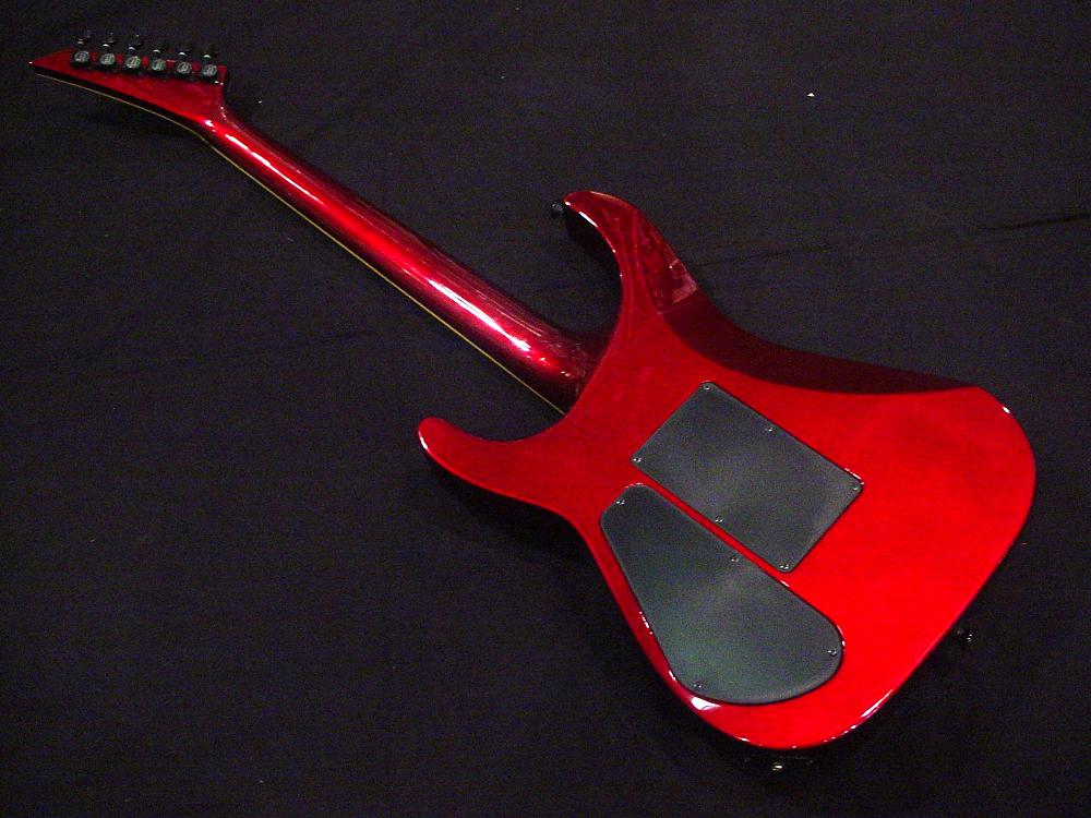 DS00284608_3.jpg
