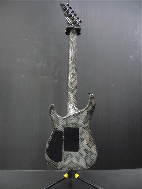 DS00449392_3.jpg