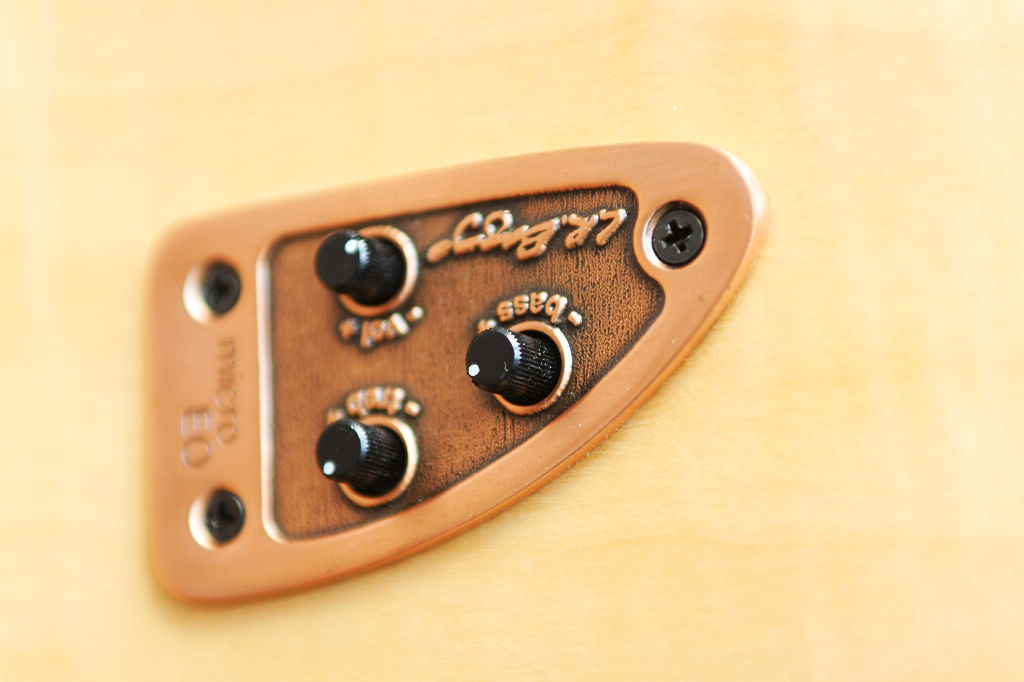 L R Raggs的micro EQ