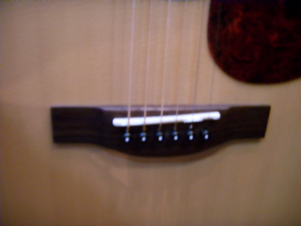 SDC10758.JPG
