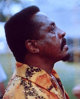 ike_turner_bstage.jpg