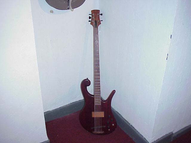 fake5.jpg