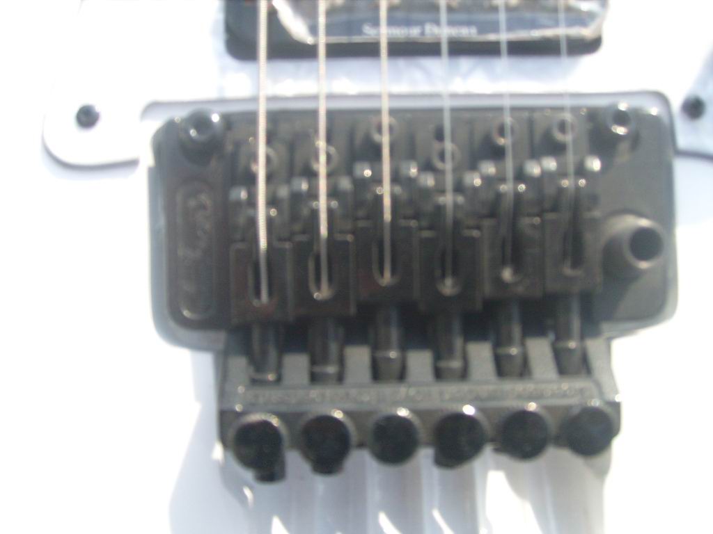 S7300105.jpg