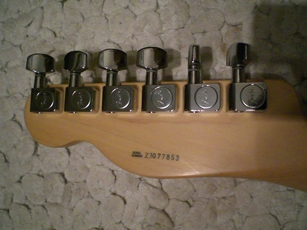 My Fender (7).jpg