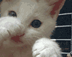 151006.gif