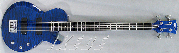 97250_b.gif
