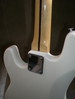 DSCN5575.JPG