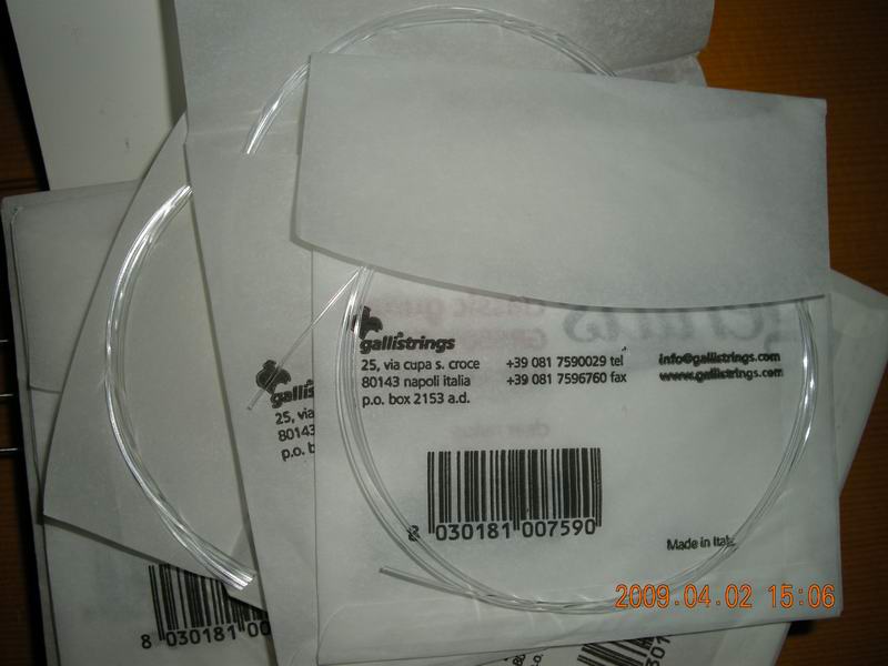 DSCN0878.JPG