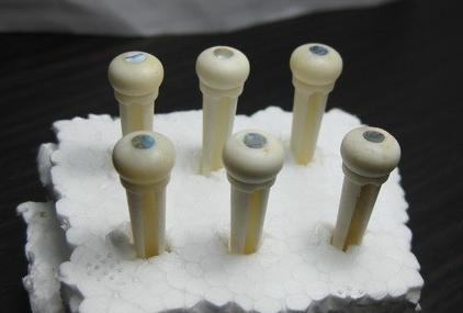 这个是牛骨的