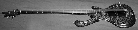 ritter-basses-cl-detail3.jpg