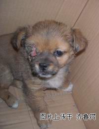 20090419_943f65e1a6ea168e4e13neJ7MraImZH0.jpg