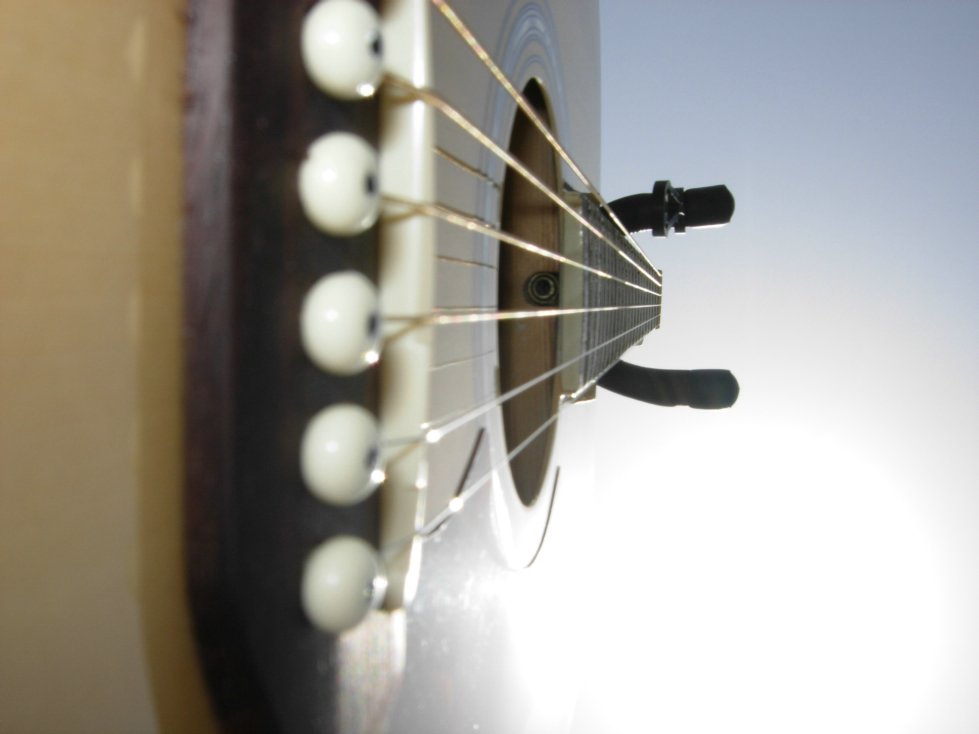 DSCN5174.JPG