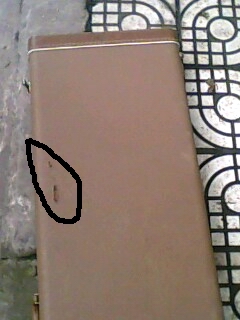 IMG0334A.jpg