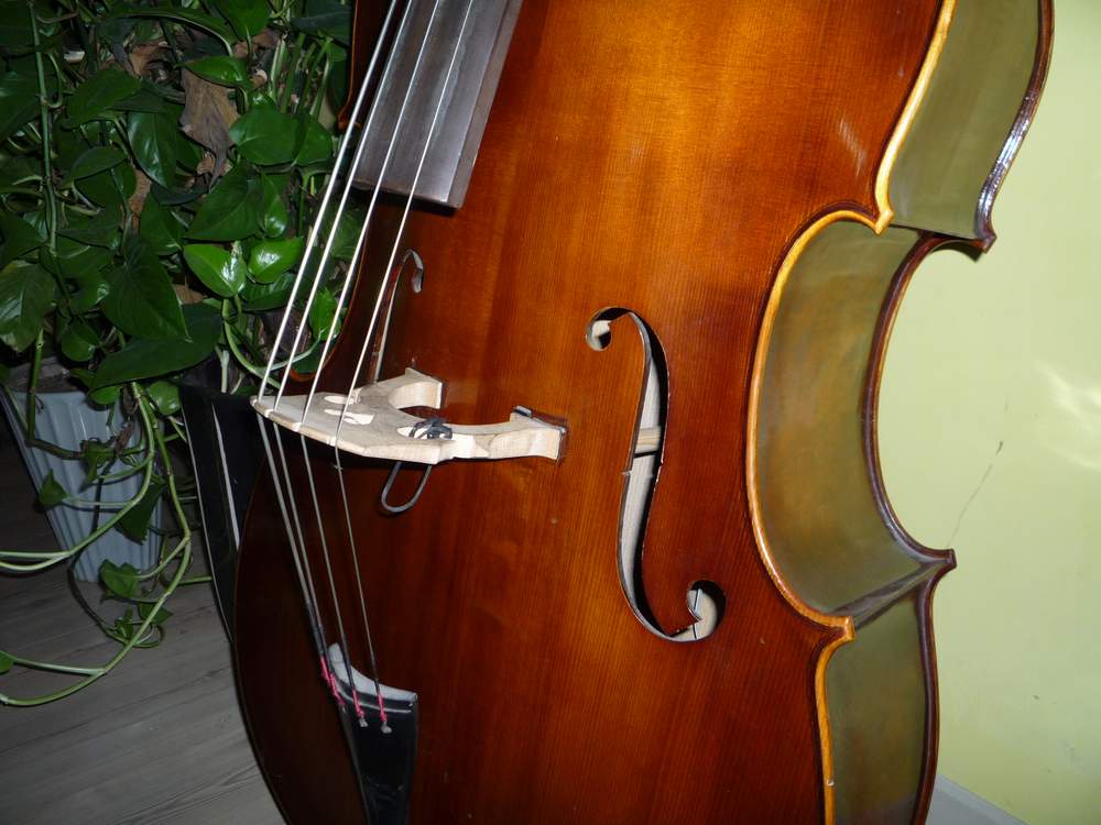 Double bass (1).JPG