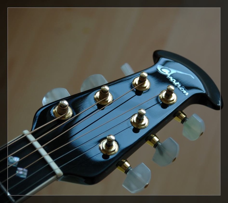 Ovation Custom 1869-4.JPG