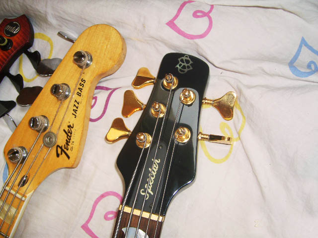 S6001510.JPG