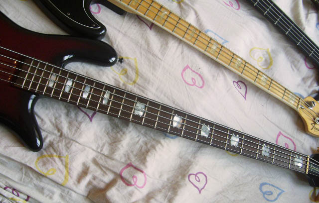 S6001512.JPG