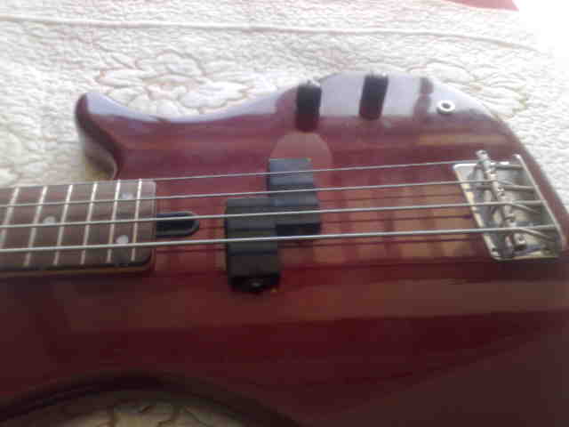 20090523072.jpg