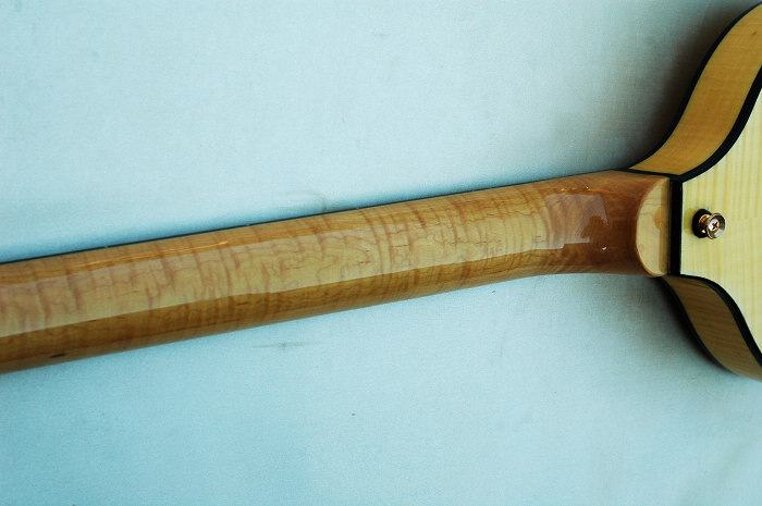 DSC_1201.jpg