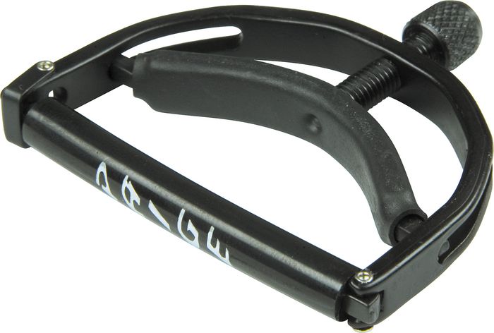 paige capo1.jpg