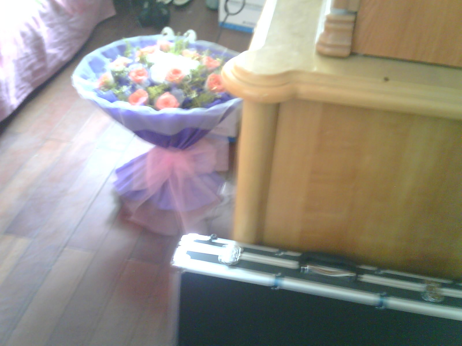 IMG0079B.jpg