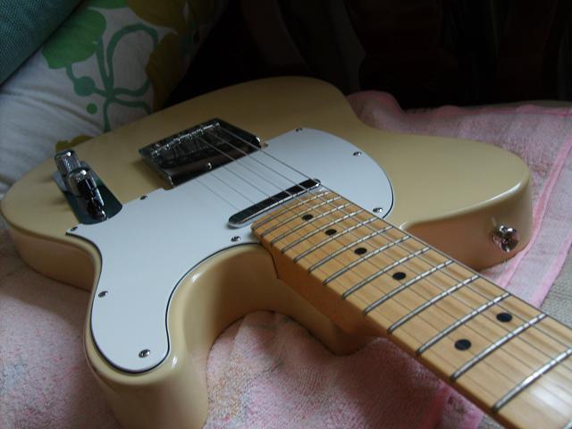 S5006400.JPG