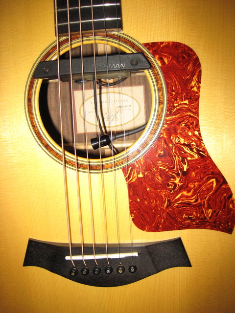 Fishman Rare Earth Blend