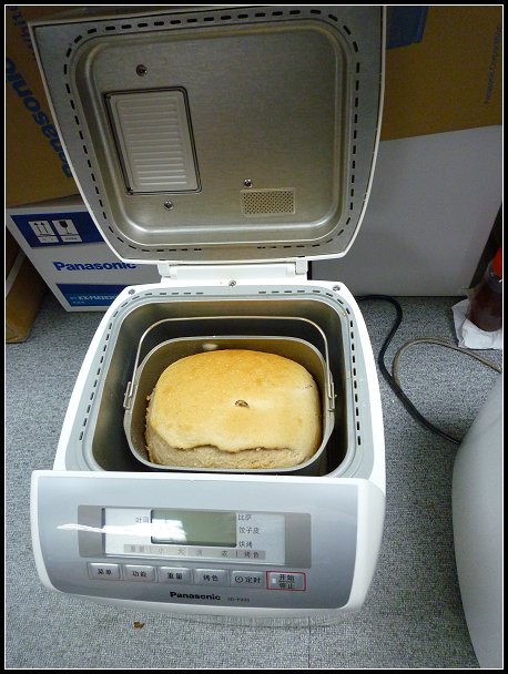 17.jpg