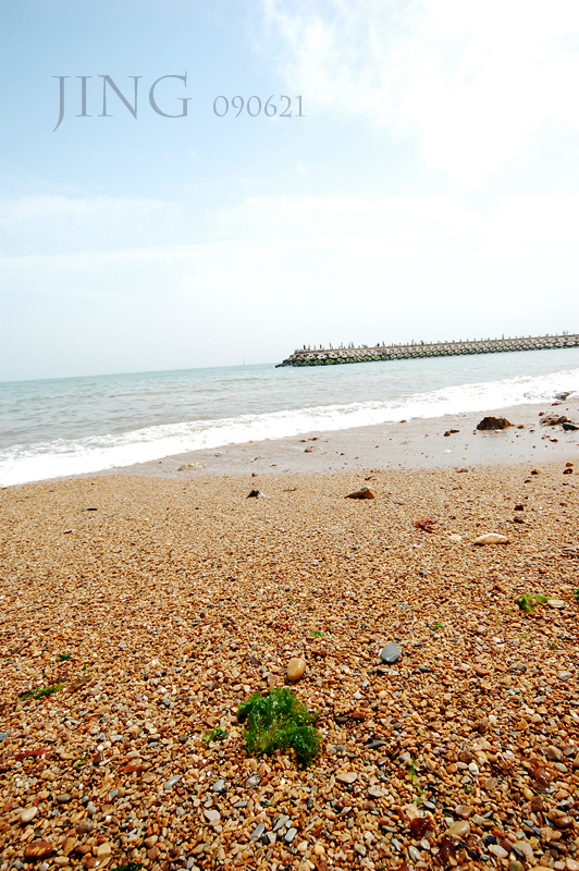 DSC_2249_0.jpg